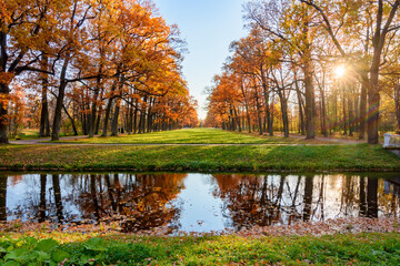 Golden autumn (fall) in Alexander park, Tsarskoe Selo (Pushkin), Saint Petersburg, Russia
