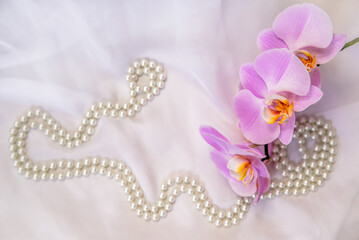 The branch of purple orchids on white fabric background
