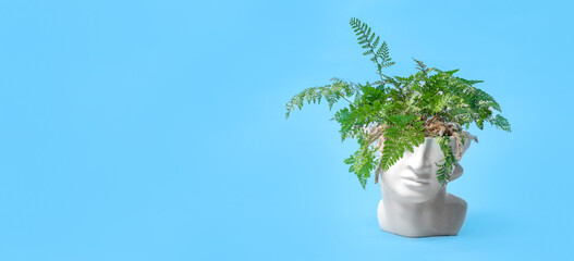 Davallia fern in human head shape plant pot over blue background. Mock up template. Minimalistic...