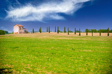 Monferrato hills in Piedmont