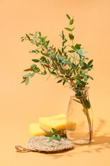 Household sponges and vase with eucalyptus branches on color background