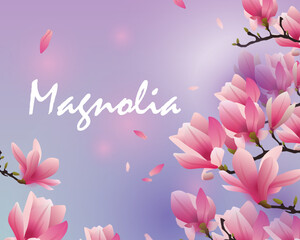 illustration of a magnolia background