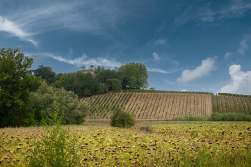 Fototapeta na wymiar Monferrato hills in Piedmont