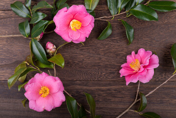 木のテーブルの上のピンクのサザンカの花