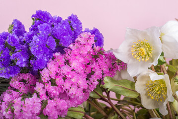 ピンクの背景の白いレンテンローズと二色のハナハマサジの花