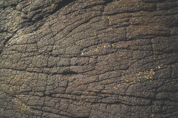 Interesting black stone at beach