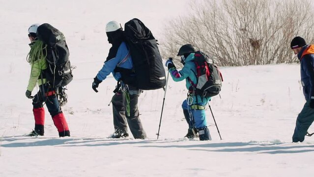 A group of professional well-trained hikers in climbing gear moving onwards through the snow. rely on the ski poles, make effort not to fall. Walking in one line across the shot on a sunny winter day.