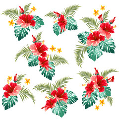 Tropical flower vector illustration material collection,