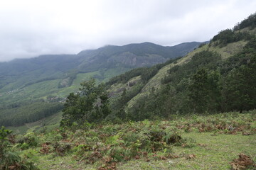 landscape in the morning