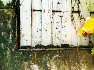 wooden wall mixed with cement, fence of the house