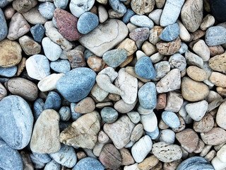 beautiful stone in the garden
