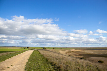 Dirt Road Farm Land