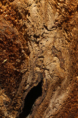 ripped of wood