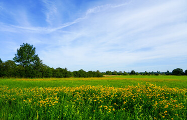 Ahsewiesen nature reserve in the Lippetal. Landscape with fields and meadows.
