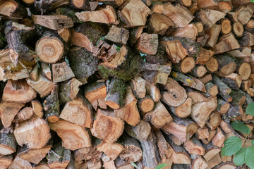 stack of firewood