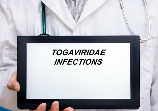 Togaviridae Infections.  Doctor with rare or orphan disease text on tablet screen Togaviridae Infections