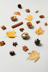 Concept of Autumn, Autumn composition accessories on light background
