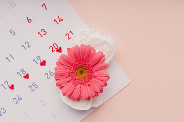 Menstruation calendar with sanitary pads and flower, top view.