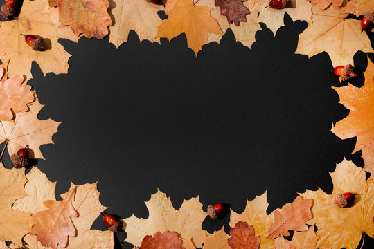 Frame of yellow autumn leaves on black background, autumn card with free space for text