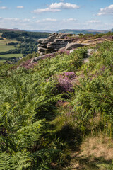 Fototapeta na wymiar Rocks and heather in the Peak District, UK, in summer