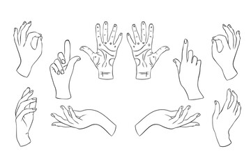 Set linear silhouette of an elegant female or witch hand.