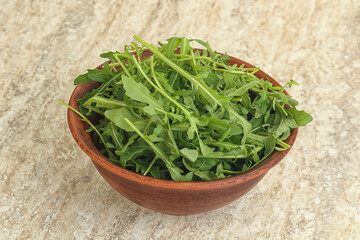 Fresh green arugula in the bowl