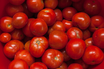Harvest of homemade ripe tomatoes. Top view