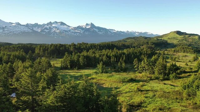 Aerial view Inspiring Hiking Camping Landscape. Spruce trees, snow-covered mountains. Vacation, Travel to Kenai Peninsula, Alaska, United States