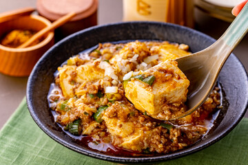 Chinese gourmet,Mapo Tofu.