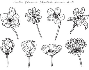 set of cute wild flower sketch