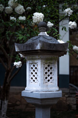 Obraz premium Hydrangea blooming in Qingliangshan Park, Nanjing, Jiangsu Province, China