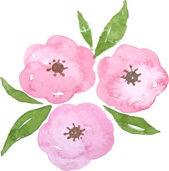 Pink Flower Watercolor