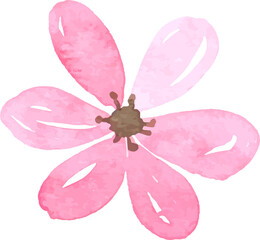 Pink Flower Watercolor