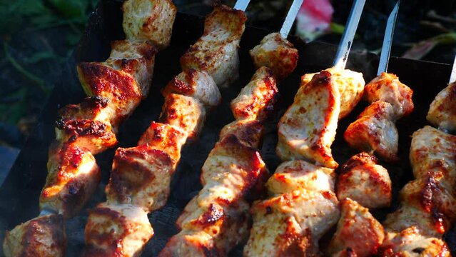 close-up in the summer fried barbecue in nature, appetizing pork meat on the barbecue. cooking meat on coals.pick nick in nature.