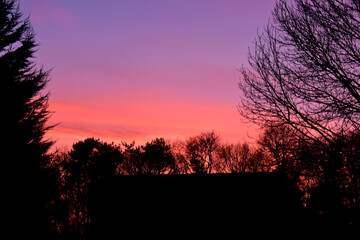 Fototapeta premium Picturesque view of a beautiful bright sunset with the colorful sky of purple, orange, red, and yellow over tree silhouettes surrounding a house silhouette.