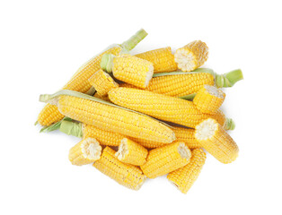 Fresh corncobs with husks on white background, top view