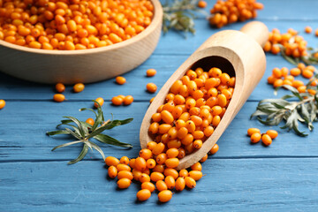 Ripe sea buckthorn berries on blue wooden table, closeup