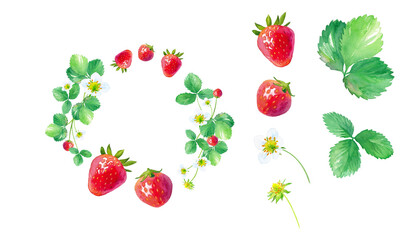 イチゴの丸型フレームと、エレメントのセット。水彩イラスト（透過背景）