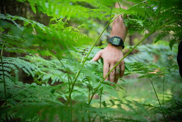 hand with clock in the forest - Powered by Adobe
