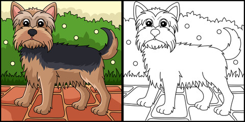  Yorkshire Terrier Dog Coloring Page Illustration - obrazy, fototapety, plakaty