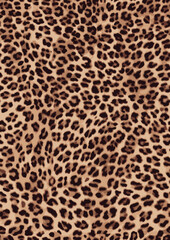 leopard skin texture - obrazy, fototapety, plakaty