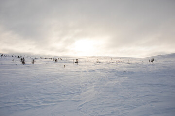 Fototapeta na wymiar Winter landscape in Pallas Yllastunturi National Park, Lapland, Finland