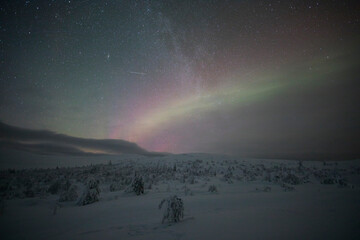 Northern lights in Pallas Yllastunturi National Park, Lapland, Finland