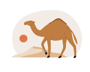 Hand-drawn wild camel with Dune and sun, isolated on white background. Desert animals, Sahara. Flat cartoon animal character.