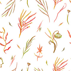 Decorative botanical seamless pattern in autumn colors. Meadow herbs. Watercolor.