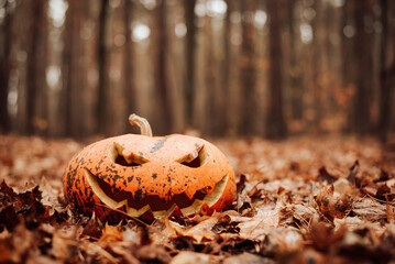 Jack-o-lantern pumpkin on the autumn foliage next to the trees in the forest. Halloween decoration on gloomy background in the woods