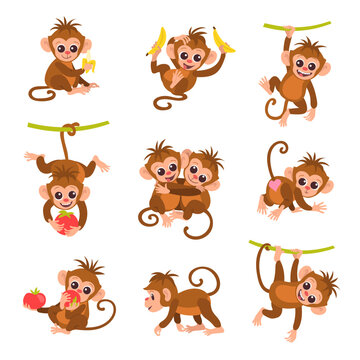 Cute exotic monkey characters. Cartoon funny primates. Different poses. Tropical animal hanging on vines. Isolated marmoset playing or eating fruit. Rainforest fauna. Splendid vector set