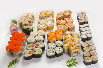 assorted or set of sushi rolls on a white background