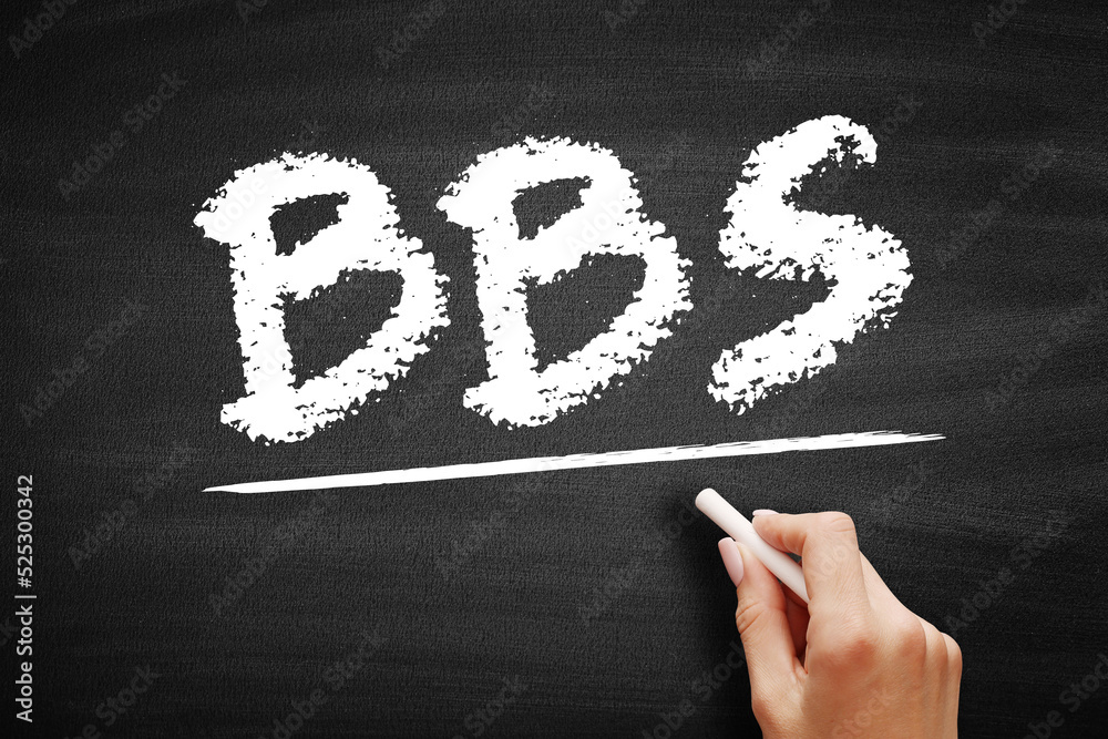 Poster bbs - bulletin board system is a computer server running software that allows users to connect to th