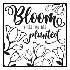 Bloom where you are planted quote isolate on white in square format. SVG cut file design for gardeners and flower lovers